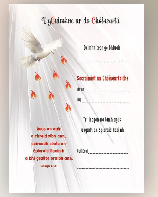 Confirmation Certificate CTC-5- Pack 100