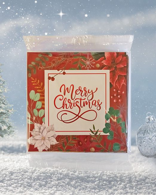 Christmas Cards Value Pack C-SQN-1