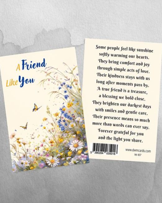 A Friend Like You: W-87